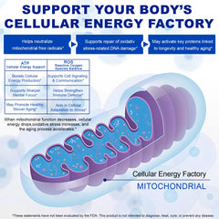 Side angle of 60-capule bottle
