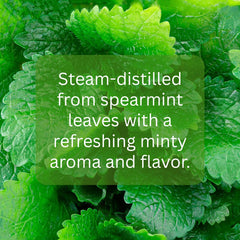 mGanna Spearmint Hydrosol DIY toner offers a refreshing facial mist option.