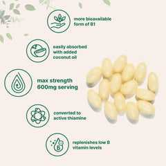 Front packaging showing 240 softgels per pouch