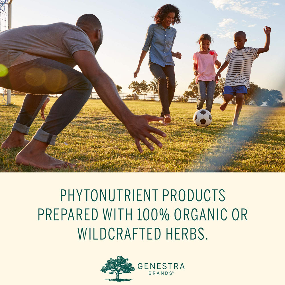 Microalgae nutrients in Phyto Greens: spirulina and chlorella.