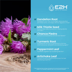 Herbal blend for liver detox shown with leaves and herbs