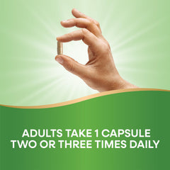 Milk thistle extract standardized to 55% silymarin
