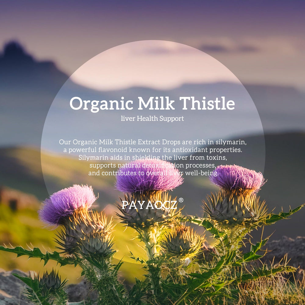 Close-up of milk thistle extract (silymarin)