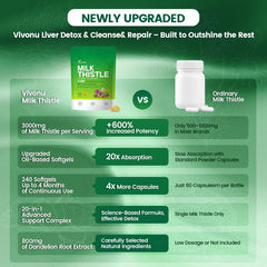 Illustration of liver support and detox benefits