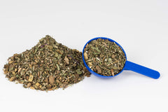 Milk Thistle Plus label close-up