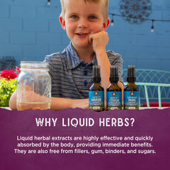 Milky oat tops herbal ingredient