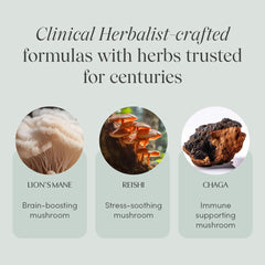 Reishi mushroom for cognitive support in Mind Over Matter