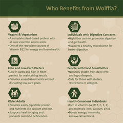 Infographic showing minerals and vitamins in Wolffia