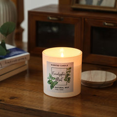 MIRASCENTS eucalyptus-mint candle in room demonstrates stylish decor and refreshing scent.