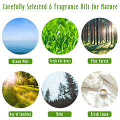 Rain fragrance oil bottle 10ml