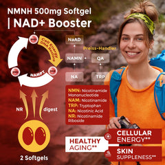 Mitochondrial health and energy graphic