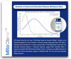 Graphic illustrating mitochondrial energy support and brain focus