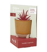 Modern Sprout Glow and Grow candle vessel with warm glaze for elegant decor