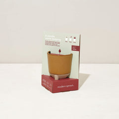 Modern Sprout Glow and Grow ceramic footed vessel ready as a planter