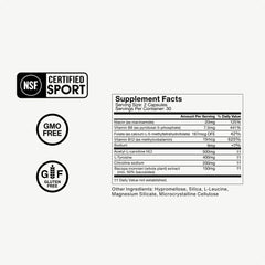 Illustration of brain function and neurotransmitter support