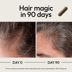 Ashwagandha adaptogenic stress support in Moon Juice SuperHair