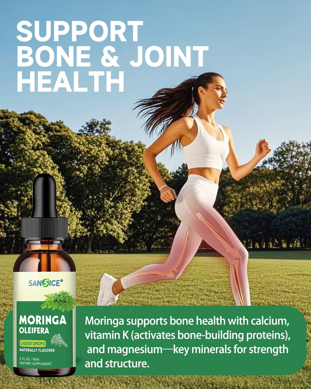Close-up image highlighting moringa antioxidants