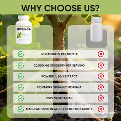 Moringa capsules highlighting natural antioxidants