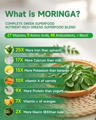 Moringa oleifera leaf extract ingredients label
