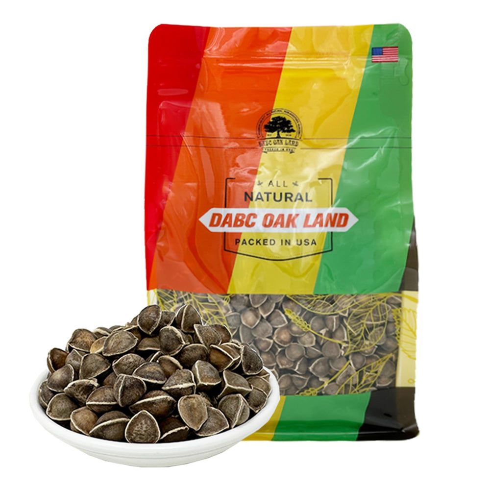 Close-up of premium moringa seeds