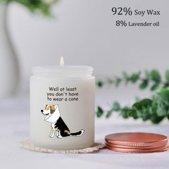 MOTVZC Get Well Soon candle dog mom dad close-up for comforting ambiance.