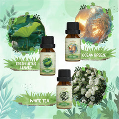 Mountain Air fragrance oil