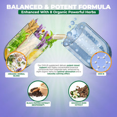 Illustration highlighting honokiol and magnolol content in DHH-B