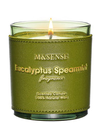 M&SENSE Eucalyptus Mint scented candle 10oz with vegan soy wax