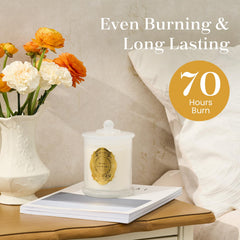 Luxurious Elixir Emporium Series candle in decorative jar