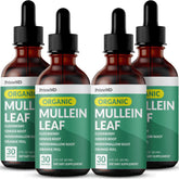 Product bottle showing 5-in-1 Mullein Drops