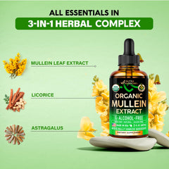 Lung health support product with mullein drops on a clean surface