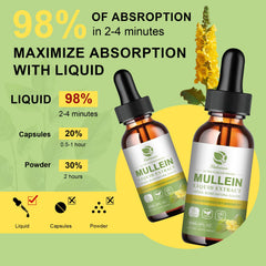 Herbal immune support and respiratory wellness