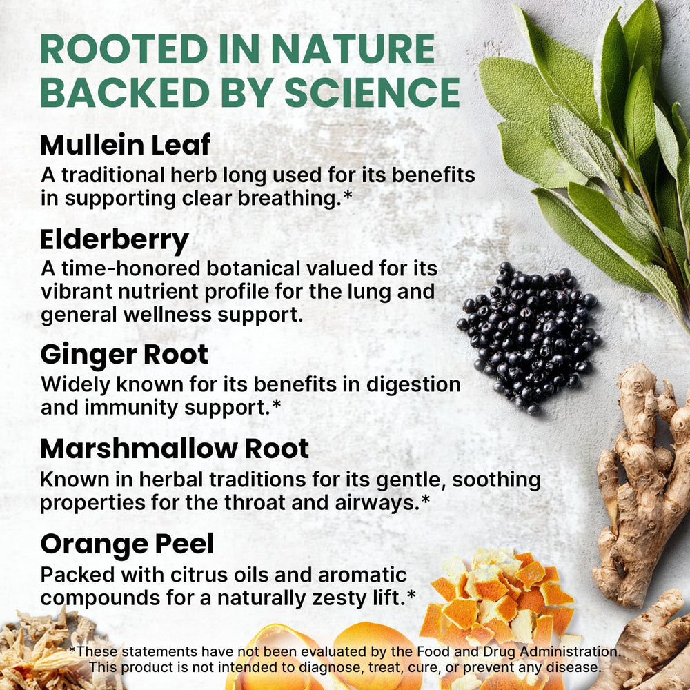Ginger root, elderberry, mullein leaf and other ingredients