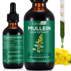 Bottle of Mullein Drops for lungs with dropper