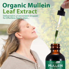 Lung wellness product for daily respiratory support