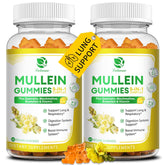 Two-pack container of 9-in-1 Mullein Gummies, 120-count each