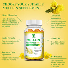 Close-up of Mullein Gummies ingredients highlight, 9-in-1 formula