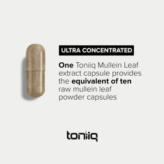 Third-party lab testing certificate for Mullein Leaf Capsules