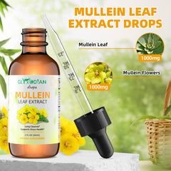 Mullein leaf extract drops for lungs and immune support