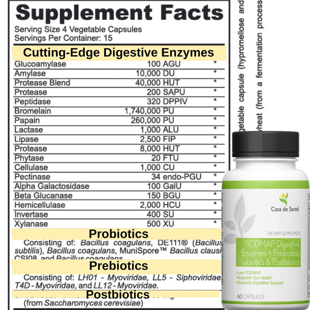 Multi-enzyme complex for fat, carbohydrate, and protein digestion
