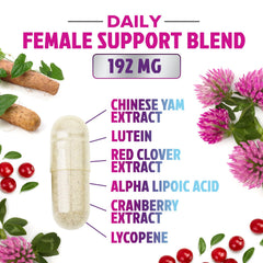 Vitamin B complex capsule close-up