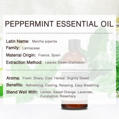 Close-up of steam-distilled peppermint oil