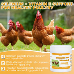 Poultry showing improved muscle function and recovery with selenium & vitamin E