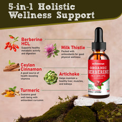 5-in-1 blend of Ceylon Cinnamon Turmeric Milk Thistle and Artichoke extracts