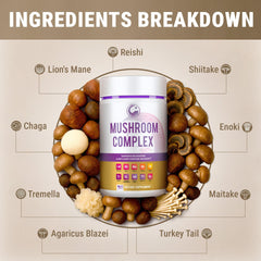 Mushroom blend ingredients including lion's mane, reishi, chaga, and turkey tail