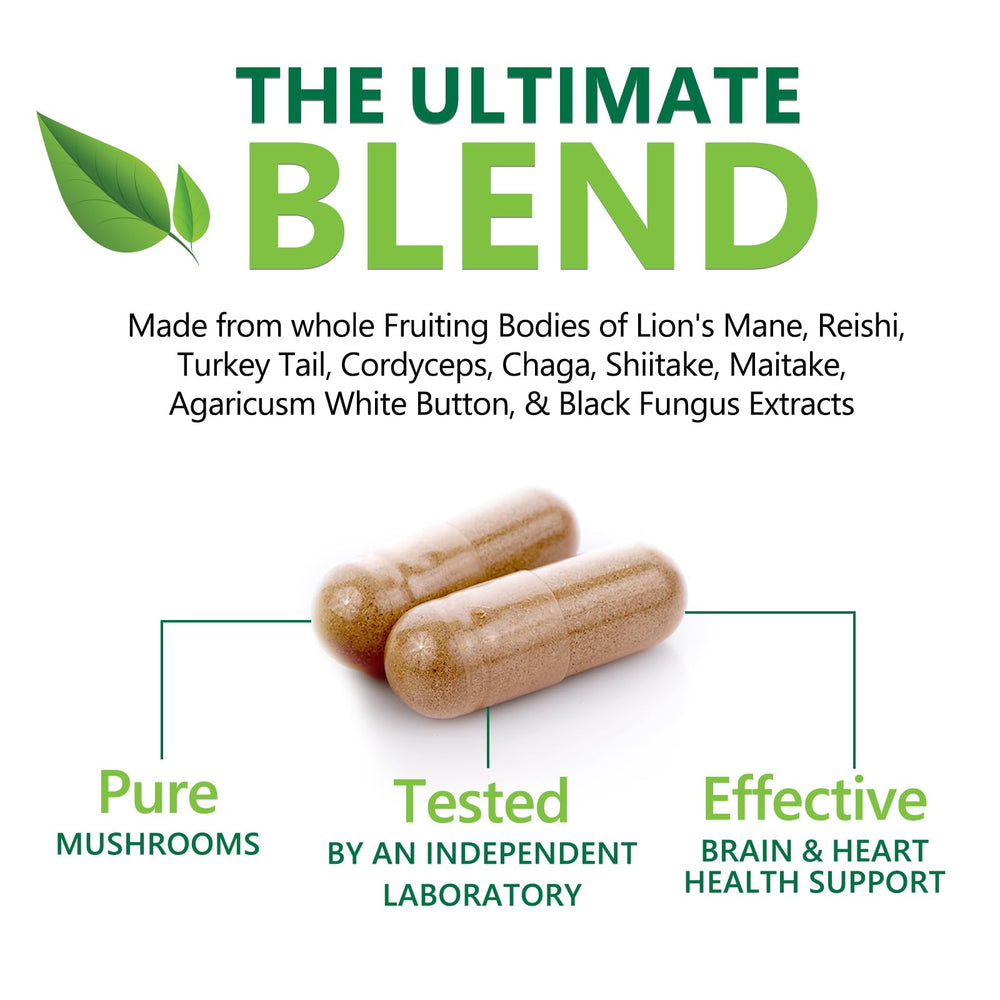 Chaga mushroom in the mushroom brain supplement blend