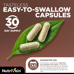 Mushroom capsules featuring Lions Mane, Cordyceps, Chaga, and Reishi