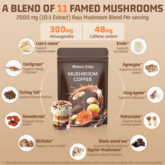 Mushroom blend with Lion's Mane, Turkey Tail, Cordyceps and Ganoderma