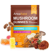 Close-up of Mushroom Gummies 2500mg packaging and gummies