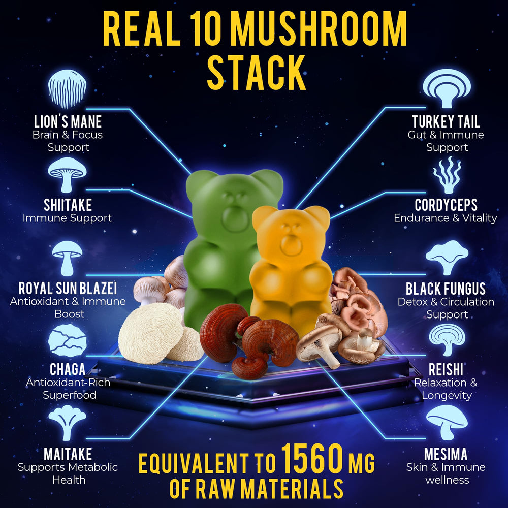 Close-up of 10-mushroom blend including Lion’s Mane and Reishi